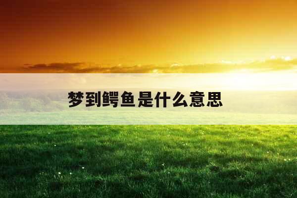 梦到鳄鱼是什么意思 