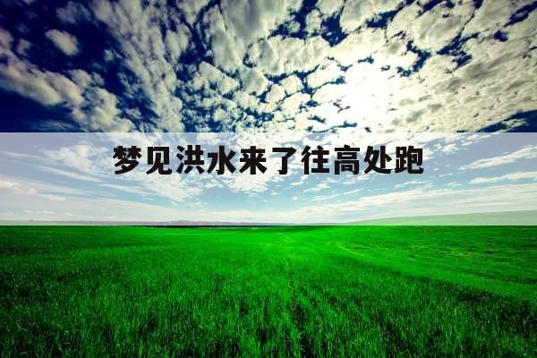 梦见洪水来了往高处跑 