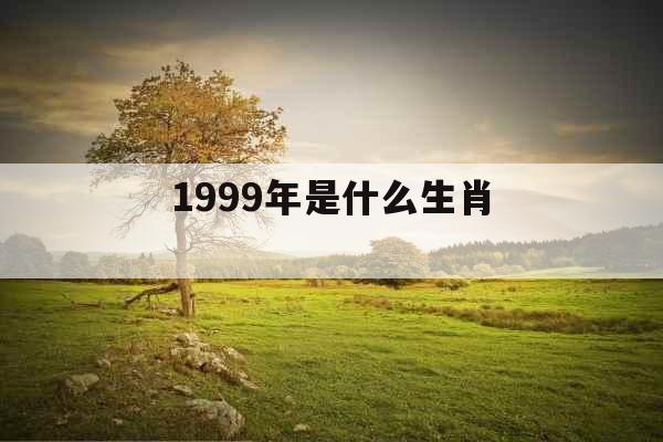 1999年是什么生肖 