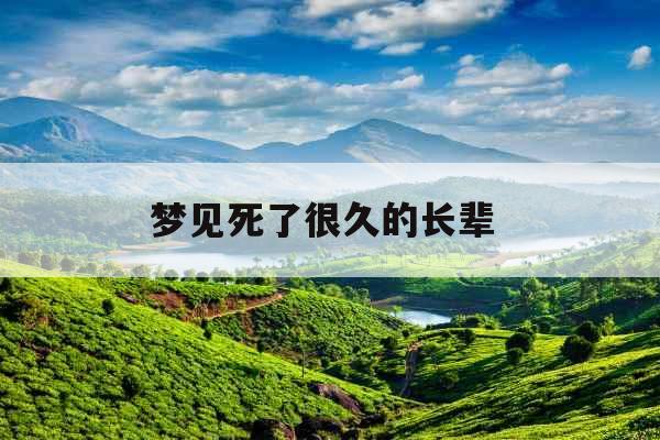 梦见死了很久的长辈 