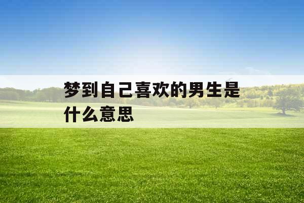 梦到自己喜欢的男生是什么意思 