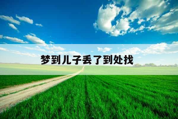 梦到儿子丢了到处找 