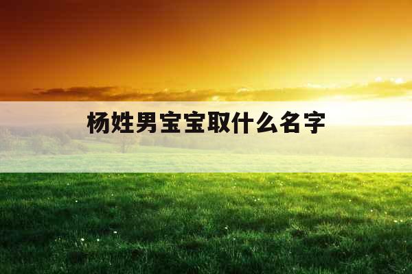 杨姓男宝宝取什么名字 