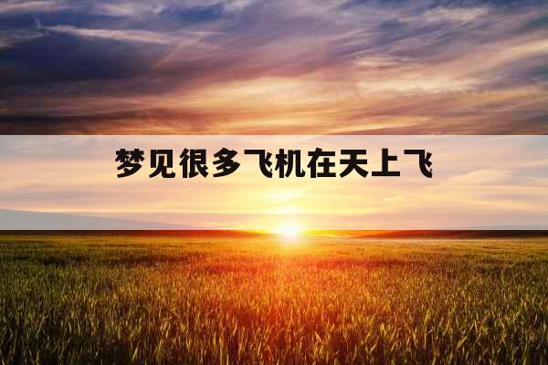 梦见很多飞机在天上飞 