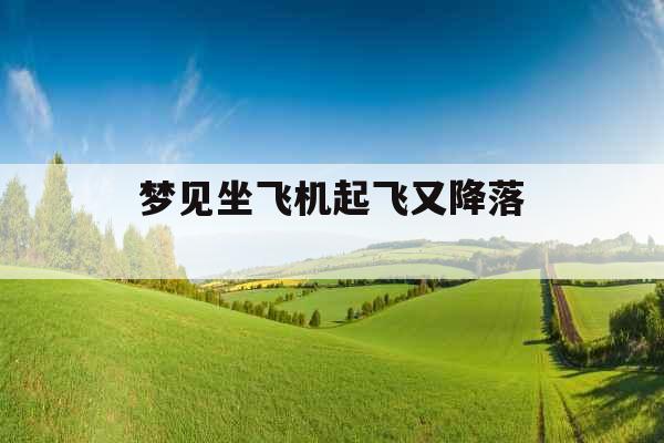 梦见坐飞机起飞又降落 