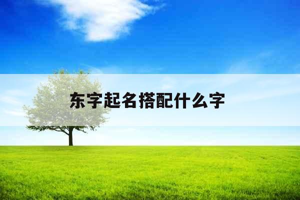 东字起名搭配什么字 