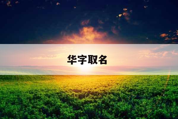华字取名 