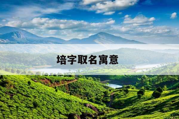 培字取名寓意 