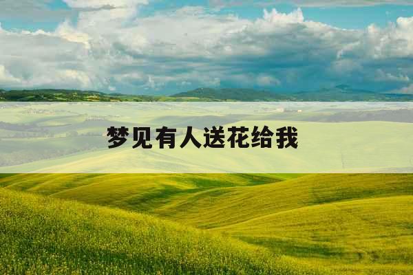 梦见有人送花给我 