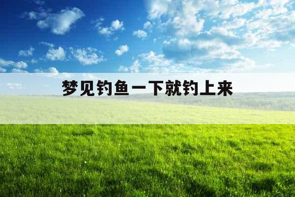 梦见钓鱼一下就钓上来 