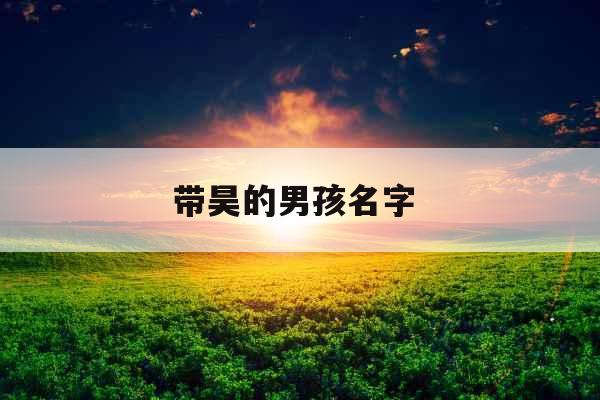 带昊的男孩名字 