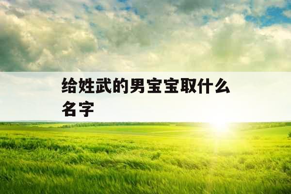 给姓武的男宝宝取什么名字 