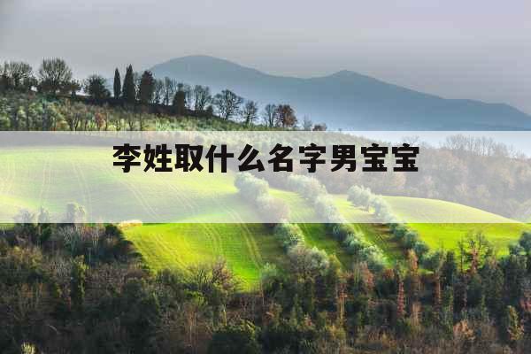 李姓取什么名字男宝宝 