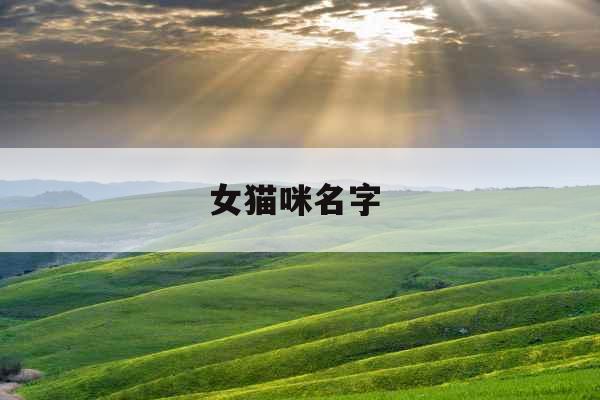 女猫咪名字 