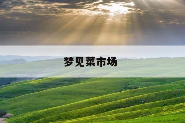 梦见菜市场 
