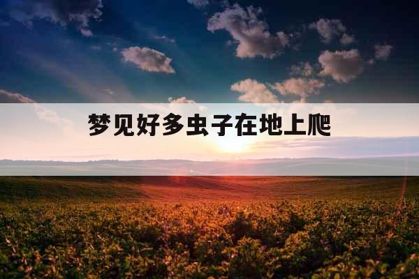 梦见好多虫子在地上爬 