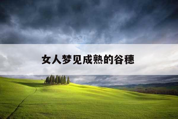 女人梦见成熟的谷穗 