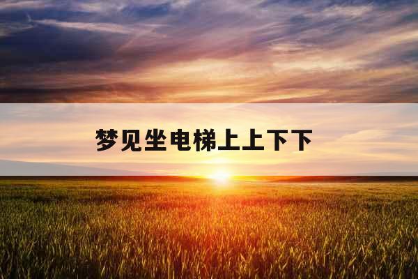 梦见坐电梯上上下下 