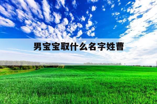 男宝宝取什么名字姓曹 