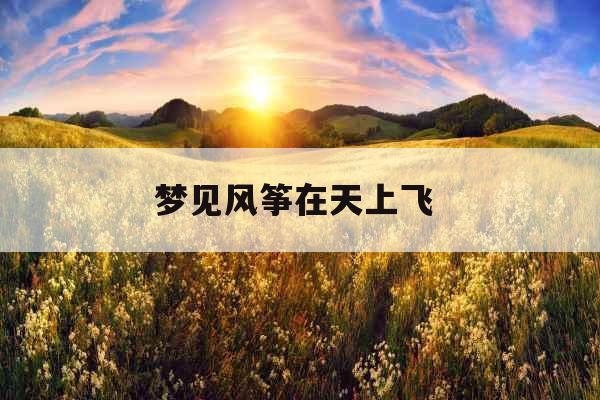 梦见风筝在天上飞 