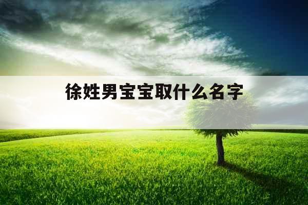 徐姓男宝宝取什么名字 