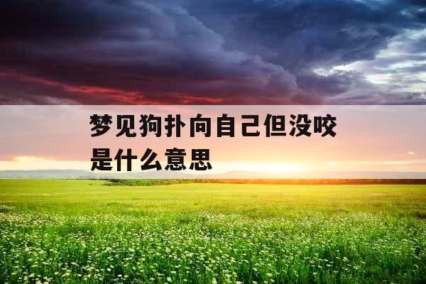 梦见狗扑向自己但没咬是什么意思 