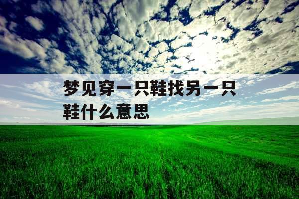 梦见穿一只鞋找另一只鞋什么意思 