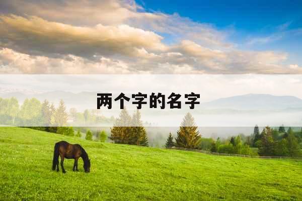 两个字的名字 