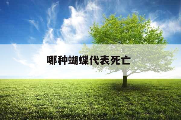 哪种蝴蝶代表死亡  哪种蝴蝶代表死亡