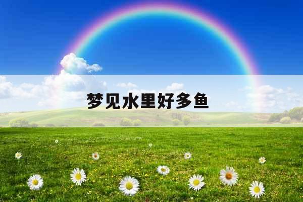 梦见水里好多鱼  梦见水里好多鱼