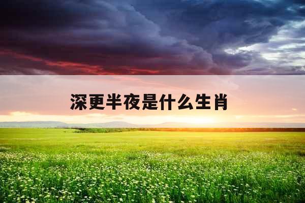 深更半夜是什么生肖 