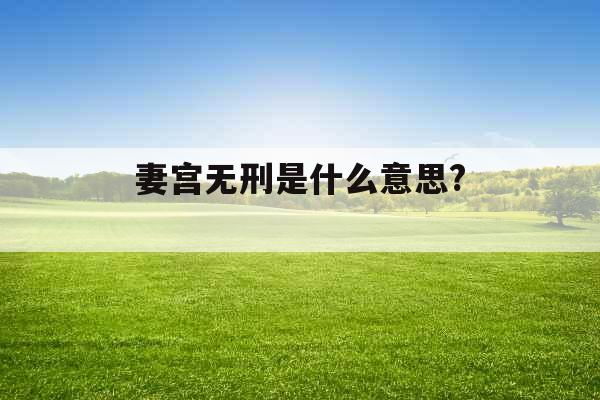 妻宫无刑是什么意思? 
