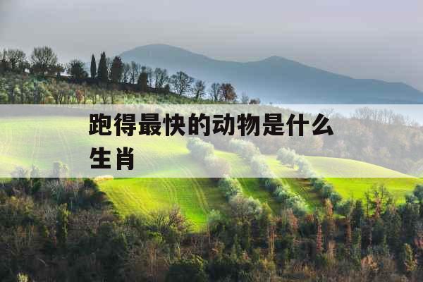 跑得最快的动物是什么生肖 