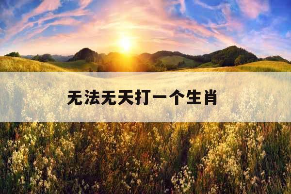 无法无天打一个生肖 