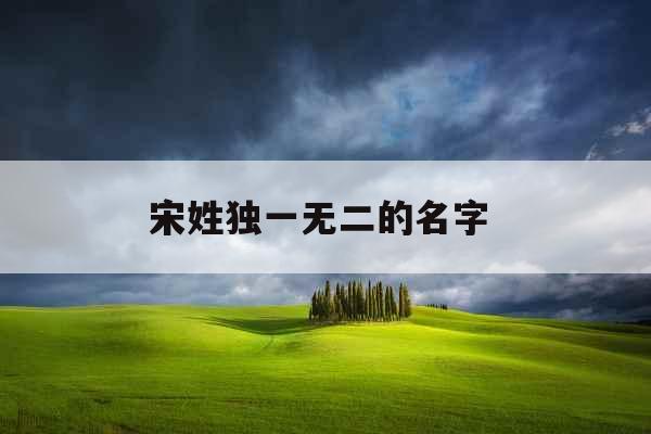 宋姓独一无二的名字 