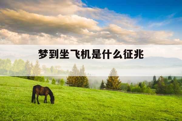 梦到坐飞机是什么征兆 