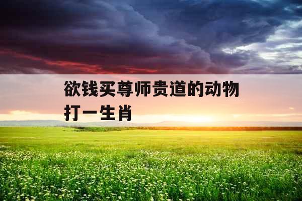 欲钱买尊师贵道的动物打一生肖 