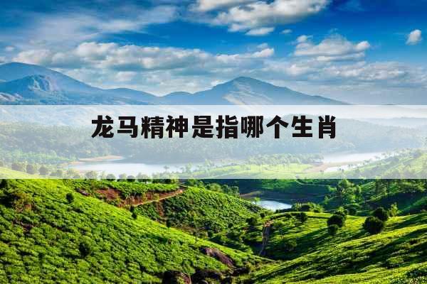 龙马精神是指哪个生肖 