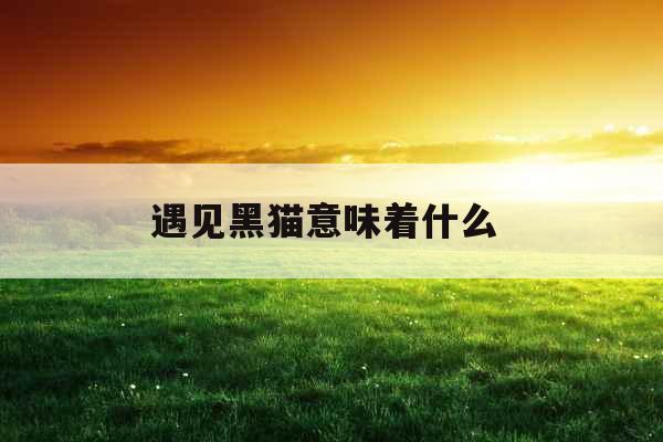 遇见黑猫意味着什么 