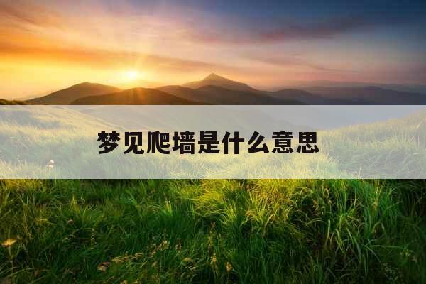 梦见爬墙是什么意思 