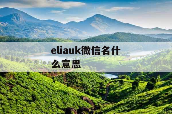 eliauk微信名什么意思 