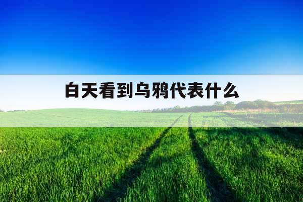 白天看到乌鸦代表什么 