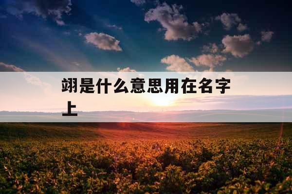 翊是什么意思用在名字上 