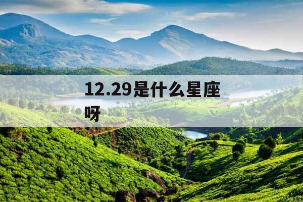 12.29是什么星座呀 