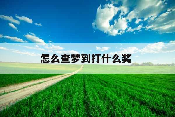 怎么查梦到打什么奖 
