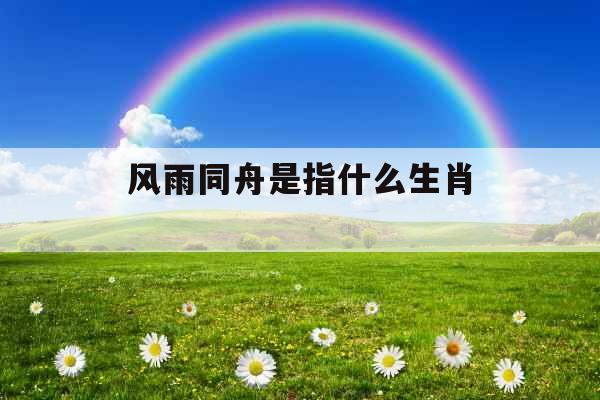 风雨同舟是指什么生肖 