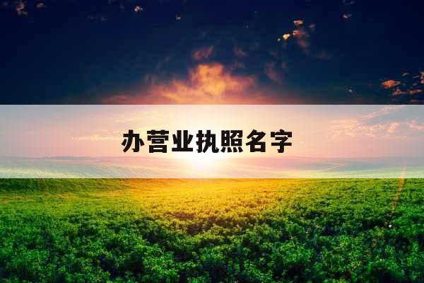 办营业执照名字 