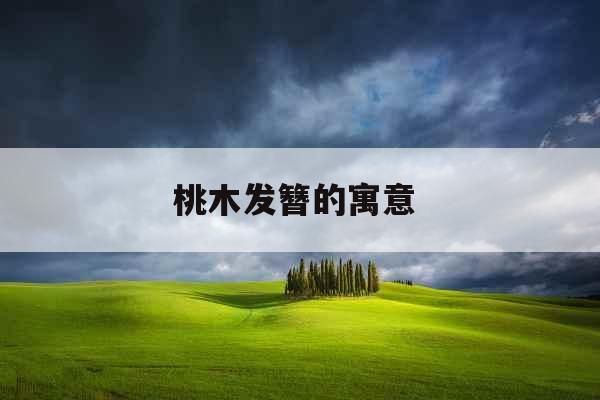 桃木发簪的寓意 