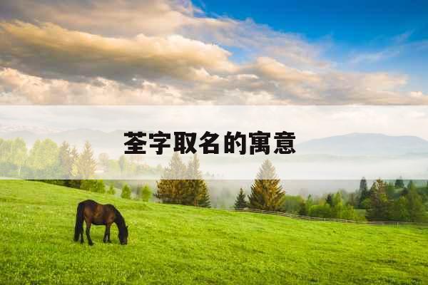 荃字取名的寓意 