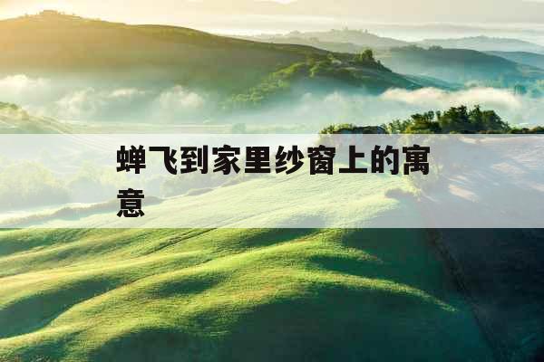 蝉飞到家里纱窗上的寓意 